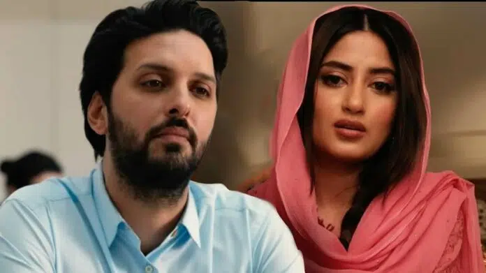 Whats Love Got To Do With It Ending Explained Shazad Latif as Kazim and Sajal Ali as Maymouna