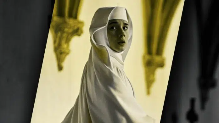 Netflix Sister Death Ending Explained Sister Narcisa