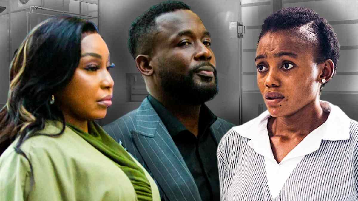 'Baby Farm' Ending Explained & Series Recap Did Barbara Kill Dr. Evans?