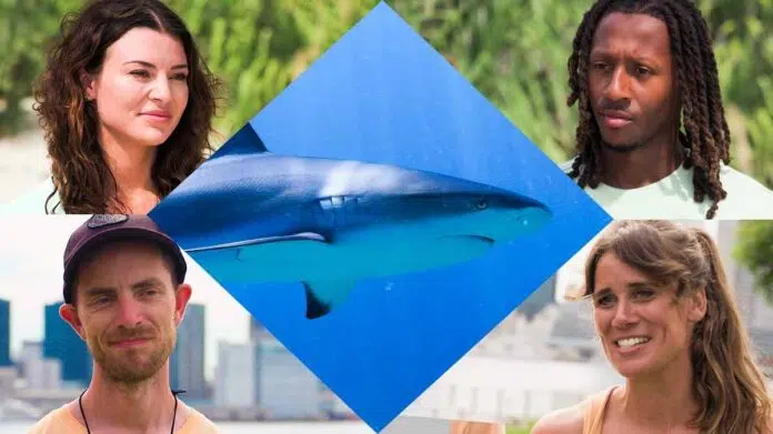 All The Sharks Recap And Ending Rosie, Randy, Dan And Sarah