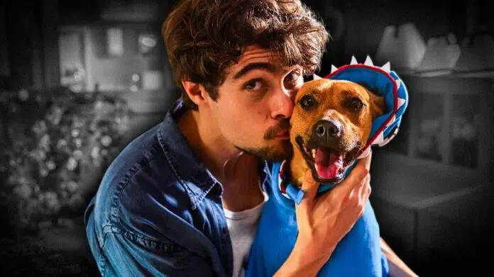 Caramelo Movie Ending Explained The Dog And Pedro